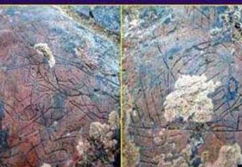 İLK DEĞİL SON GELİŞ