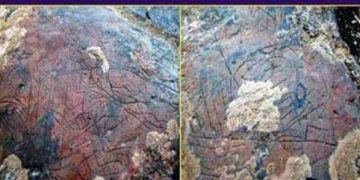 İLK DEĞİL SON GELİŞ