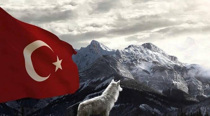 TÜRK MİLLETİ ve TÜRK MİLLİYETÇİSİ