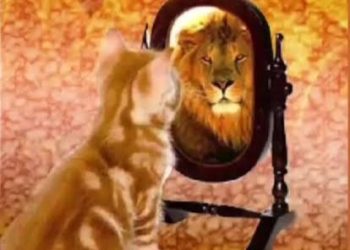 “BARBA TENUS SAPIENTES” GRUBU ARKADAŞLAR(!)