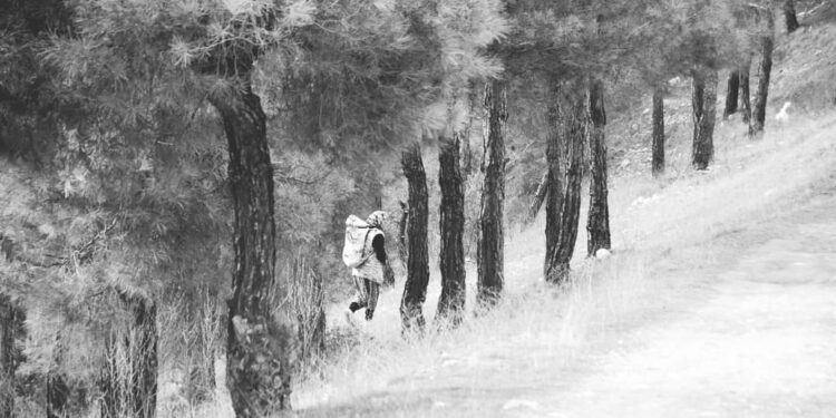 GERİDE BIRAKTIĞINI ZANNETİKLERİN