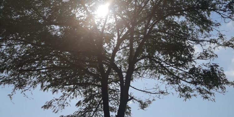 BİR GARİP SAFMIŞIZ!